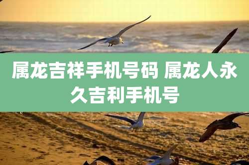 属龙吉祥手机号码 属龙人永久吉利手机号