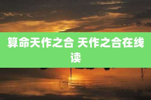 算命天作之合 天作之合在线读
