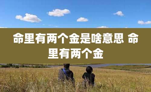 命里有两个金是啥意思 命里有两个金