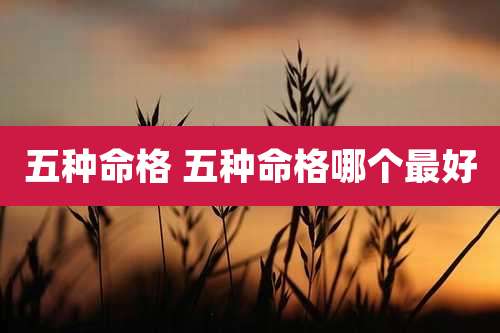 五种命格 五种命格哪个最好
