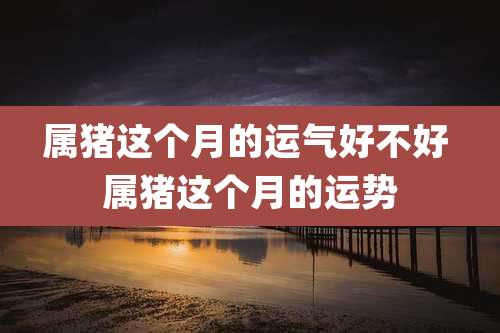 属猪这个月的运气好不好 属猪这个月的运势
