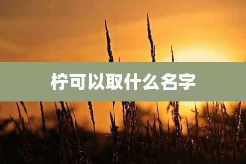 柠可以取什么名字