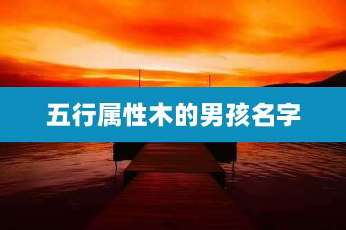 五行属性木的男孩名字