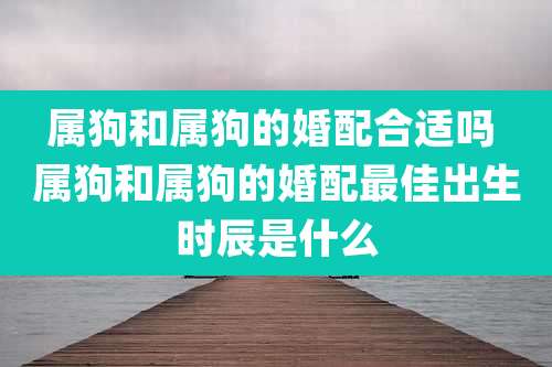 属狗和属狗的婚配合适吗 属狗和属狗的婚配最佳出生时辰是什么