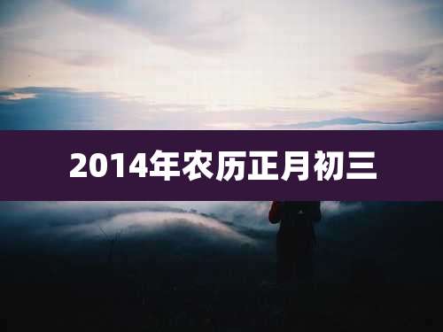 2014年农历正月初三