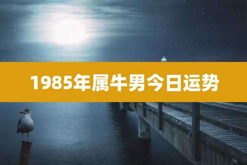 1985年属牛男今日运势