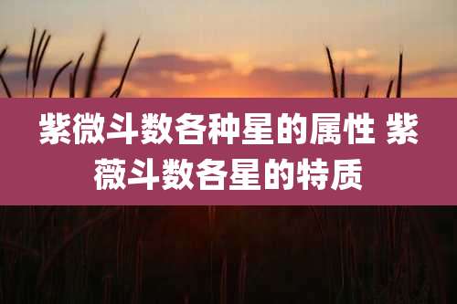 紫微斗数各种星的属性 紫薇斗数各星的特质