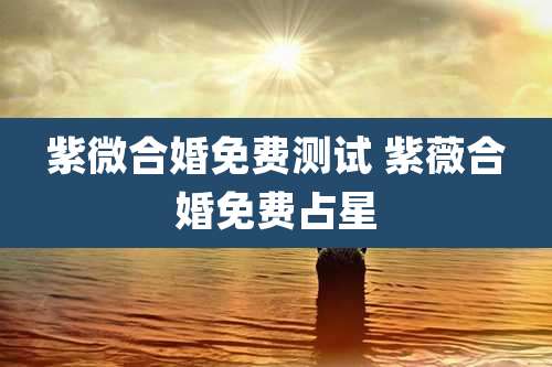 紫微合婚免费测试 紫薇合婚免费占星