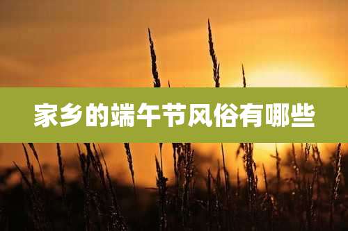 家乡的端午节风俗有哪些