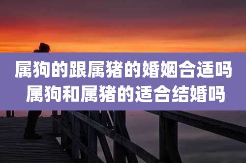 属狗的跟属猪的婚姻合适吗 属狗和属猪的适合结婚吗