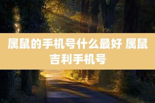 属鼠的手机号什么最好 属鼠吉利手机号