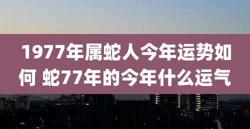 1977年属蛇人今年运势如何 蛇77年的今年什么运气