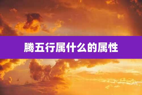 腾五行属什么的属性