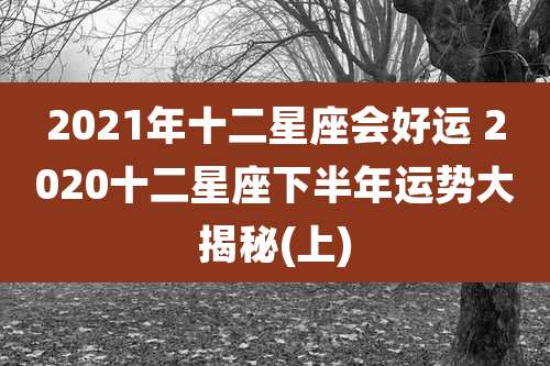 2021年十二星座会好运 2020十二星座下半年运势大揭秘(上)