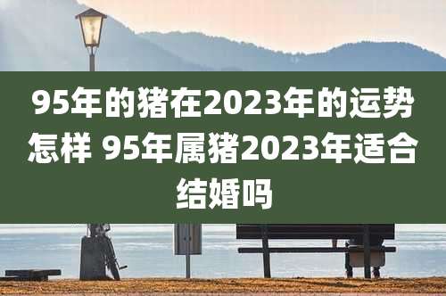 95年的猪在2023年的运势怎样 95年属猪2023年适合结婚吗