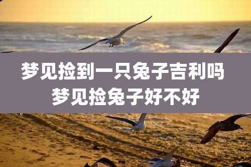 梦见捡到一只兔子吉利吗 梦见捡兔子好不好