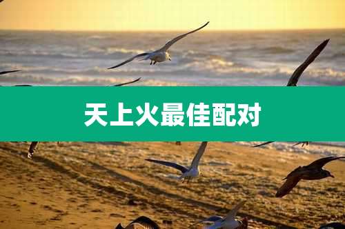 天上火最佳配对