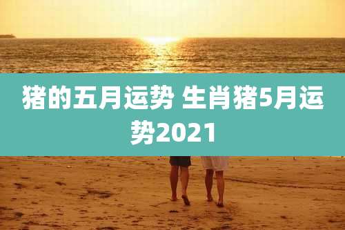 猪的五月运势 生肖猪5月运势2021