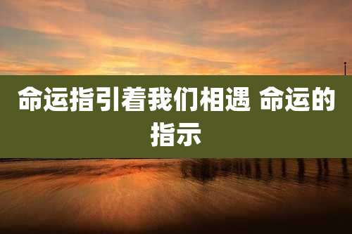 命运指引着我们相遇 命运的指示