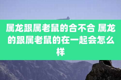 属龙跟属老鼠的合不合 属龙的跟属老鼠的在一起会怎么样