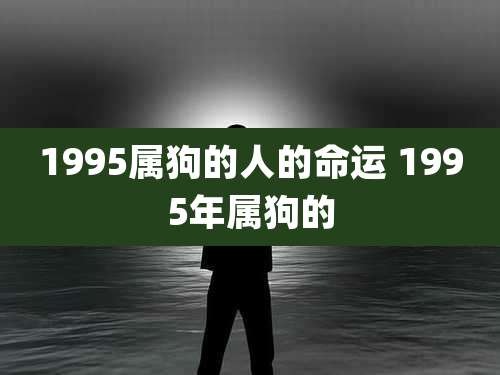 1995属狗的人的命运 1995年属狗的