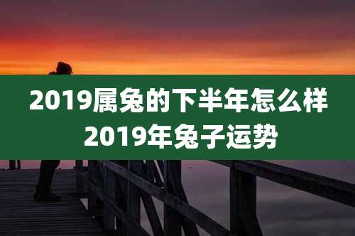 2019属兔的下半年怎么样 2019年兔子运势
