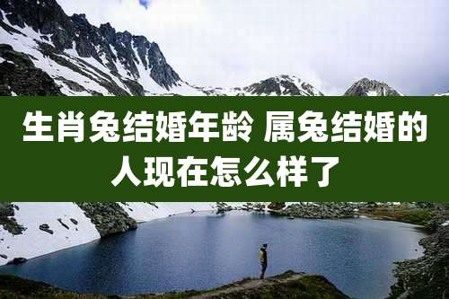 生肖兔结婚年龄 属兔结婚的人现在怎么样了