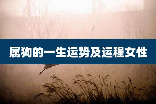 属狗的一生运势及运程女性
