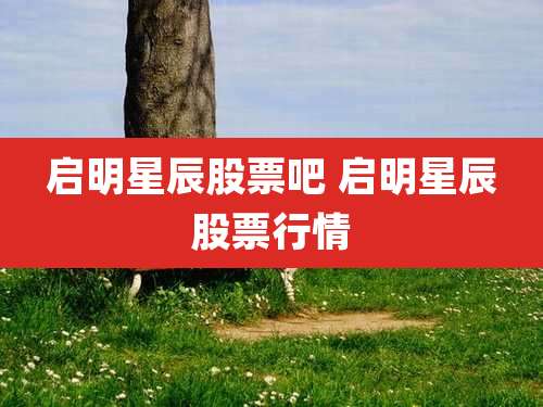启明星辰股票吧 启明星辰股票行情