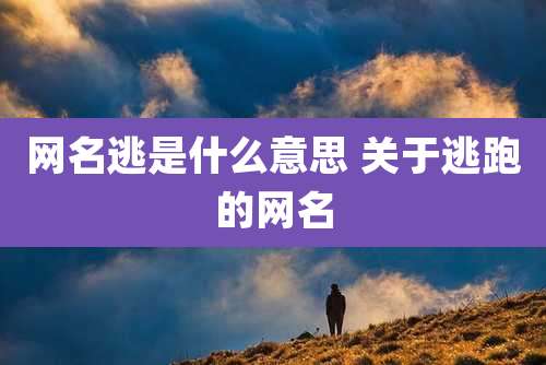 网名逃是什么意思 关于逃跑的网名