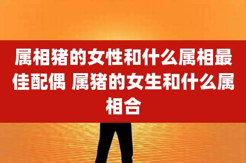 属相猪的女性和什么属相最佳配偶 属猪的女生和什么属相合