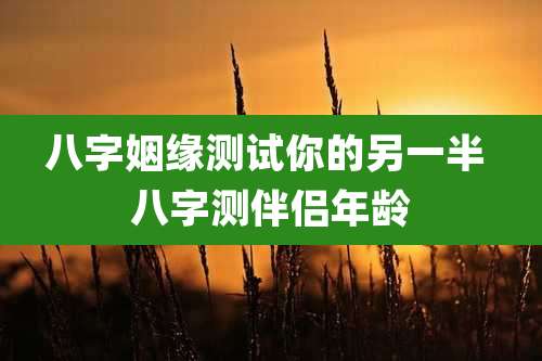 八字姻缘测试你的另一半 八字测伴侣年龄