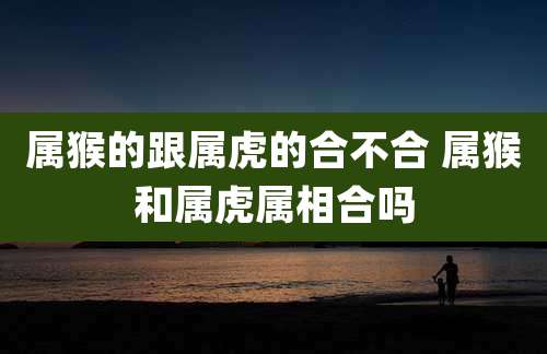 属猴的跟属虎的合不合 属猴和属虎属相合吗