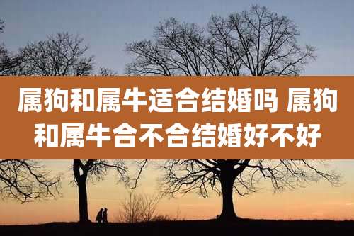 属狗和属牛适合结婚吗 属狗和属牛合不合结婚好不好