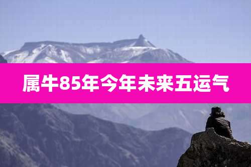 属牛85年今年未来五运气