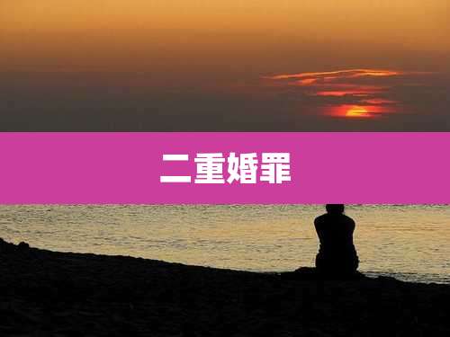 二重婚罪