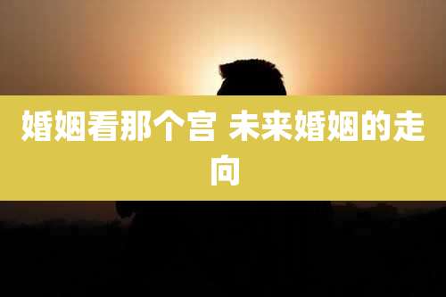 婚姻看那个宫 未来婚姻的走向