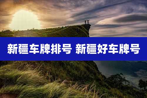新疆车牌排号 新疆好车牌号