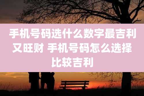 手机号码选什么数字最吉利又旺财 手机号码怎么选择比较吉利