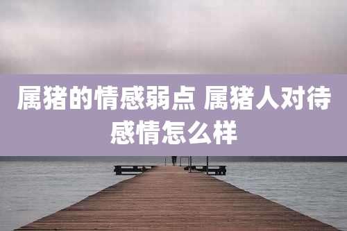 属猪的情感弱点 属猪人对待感情怎么样