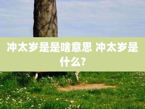 冲太岁是是啥意思 冲太岁是什么?