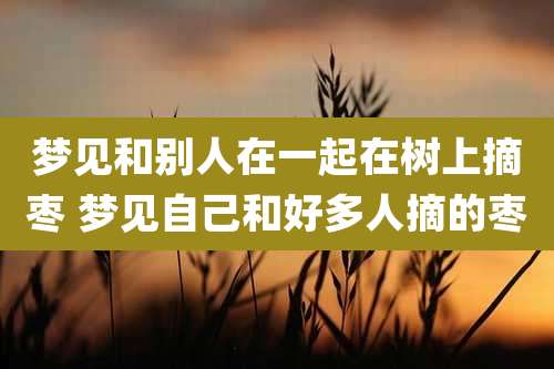 梦见和别人在一起在树上摘枣 梦见自己和好多人摘的枣