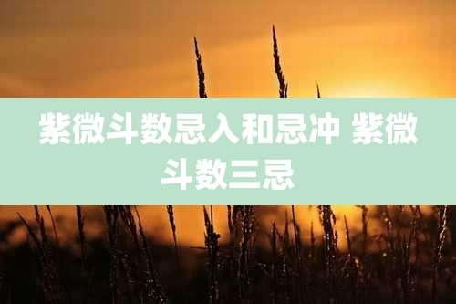 紫微斗数忌入和忌冲 紫微斗数三忌