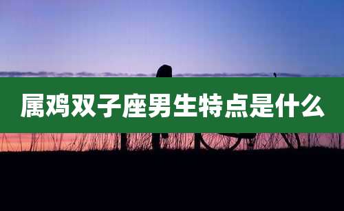 属鸡双子座男生特点是什么
