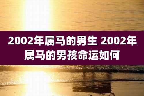 2002年属马的男生 2002年属马的男孩命运如何