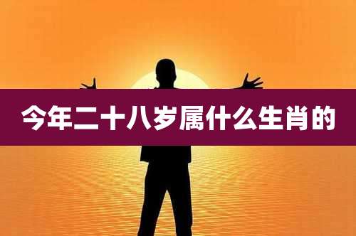 今年二十八岁属什么生肖的