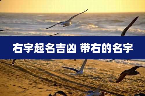 右字起名吉凶 带右的名字