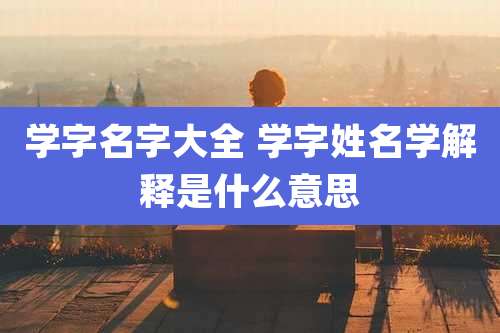 学字名字大全 学字姓名学解释是什么意思