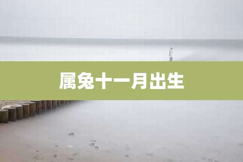 属兔十一月出生