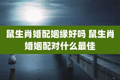 鼠生肖婚配姻缘好吗 鼠生肖婚姻配对什么最佳
